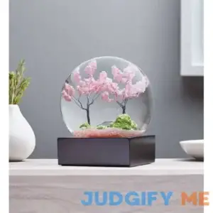 1-800-Flowers New For Mother's Day Cherry Blossom Snow Globe by CoolSnowGlobes Cherry Blossom Snow Globe
