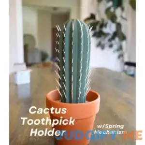 Cactus | Toothpick Holder