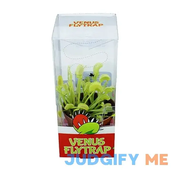 Altman Plants Live Plant Venus Flytrap in 3in Pot Altman Plants Live Plant Venus Flytrap in 3in Pot
