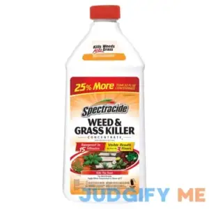 Spectracide Weed and Grass Killer Concentrate 40 oz