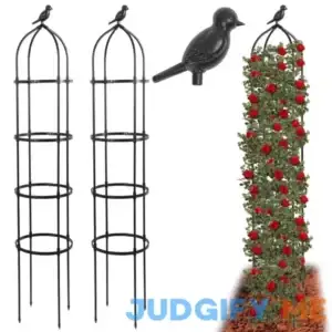TCBWFY Obelisk Trellis for Climbing Plants 2 Pack