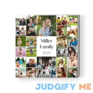 Year In Photos Canvas Print