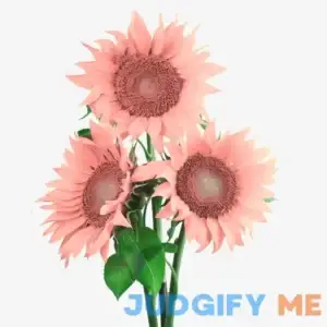 100pcs Pink Sunflower Seeds for Planting