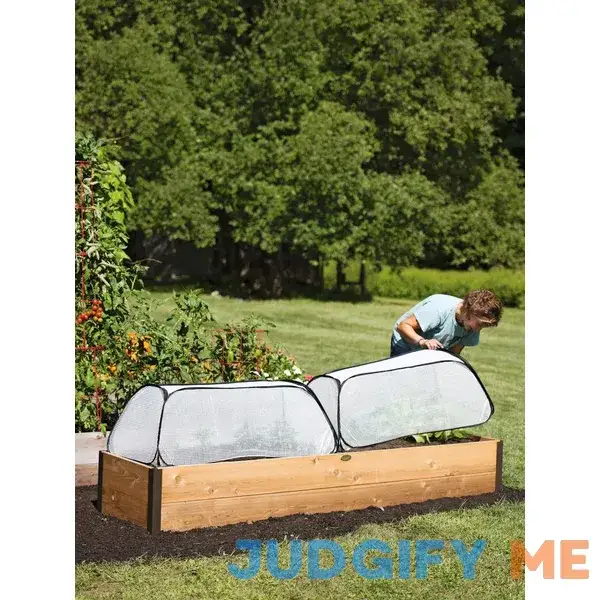 Row Shelter Accelerator Row Shelter Accelerator