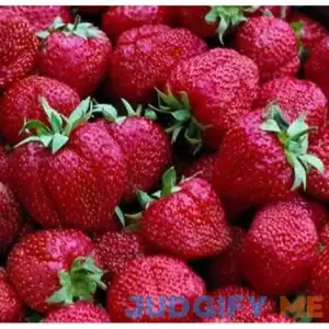 Surecrop Strawberry Junebearer (25 Pack)