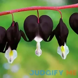 QAUZUY Garden 25 Black Bleeding Heart Seeds Flowers Perennial Shade Flower Seed for Garden Outdoor Perennial Striking Ornamental Plant Easy to Grow