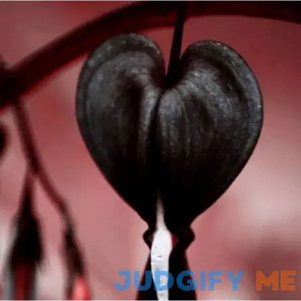 CHUXAY GARDEN Black Dicentra Eximia-Wild Fringed Bleeding-Heart CHUXAY GARDEN Black Dicentra Eximia-Wild Fringed Bleeding-Heart