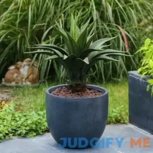 Acushnet Round Indoor/Outdoor Modern Pot Planter with Drainage Hole Sol 72 Outdoor