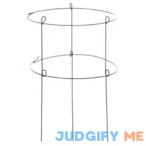 Panacea Peony Plant Support Double Green Ring