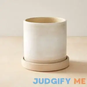 West Elm Sketchbook Ceramic Floor Planter 8'D x 7.5"H