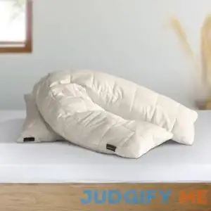 Customizable V Shaped Wool Pillow