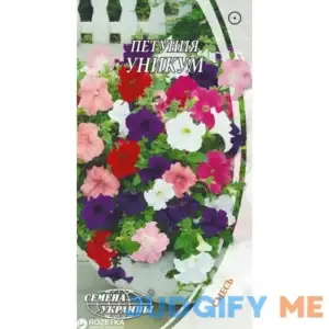 Seeds Petunia Unicum Mix F1 Indoor Annual Flowers for Planting Non GMO