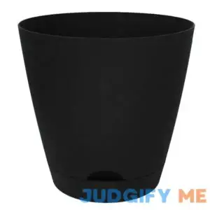 Sonoma Goods For Life Plastic Planter