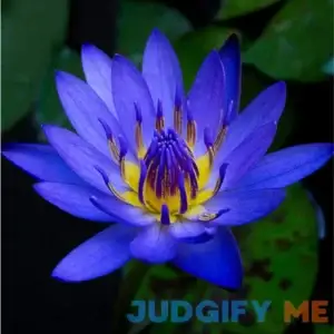 Planterest Nymphaea King Blue Hardy Water Lily Rhizome Live Aquarium Plant BUY2GET1FREE