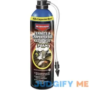 BioAdvanced 18 oz. Foam Carpenter Bee & Termite Killer