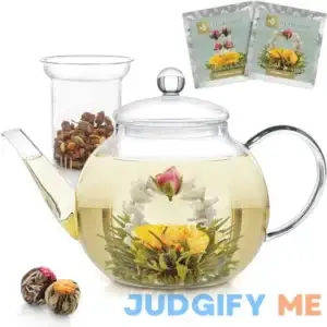 Teabloom Stovetop & Microwave Safe Teapot with Removable Loose Tea Glass Infuser вЂ“ 2-in-1 Tea Kettle and Tea Maker вЂ“ Includes 2 Blooming Teas