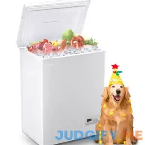 Demuller Deep Chest Freezer with 2 Removable Baskets Compact Mini Deep Freezers Stay-Open Lid