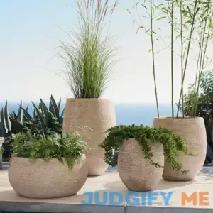 West Elm Curved Round Ficonstone Indoor/Outdoor Planter