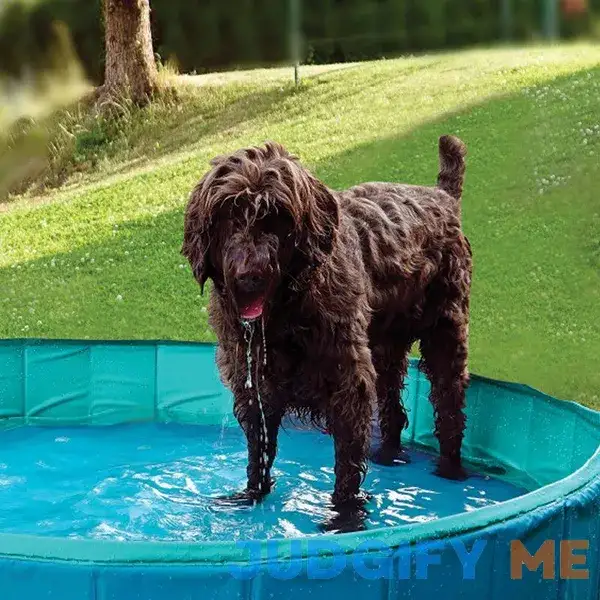 Woof Collapsible Pet Pool Woof Collapsible Pet Pool