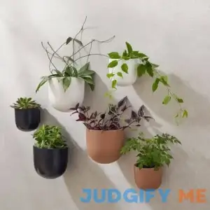 West Elm Ceramic Indoor/Outdoor Wallscape Planter Large