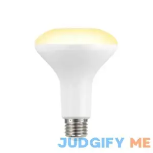 EcoSmart 65-Watt Equivalent BR30 Dimmable LED Light Bulb Daylight
