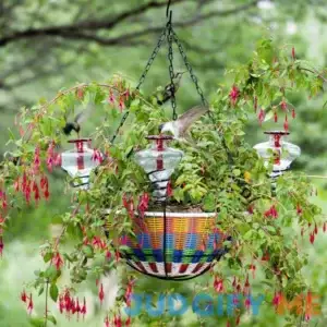 Hanging Basket Hummingbird Feeder Feeders/Bird Houses Unique Birdhouses and Bird Feeder Gifts