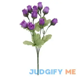 Rose Bud Bush by Ashland