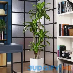 Adcock Artificial Dracaena Tree in Pot Faux Dracaena Plant Fake Tree for Home Decor Primrue