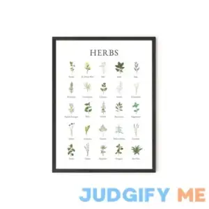Haus and Hues Herb Pictures for Kitchen Wall Art Kitchen Herbs Wall Art and Botanical Prints Herbs Art