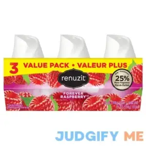 Renuzit Forever Raspberry Gel Air Freshener