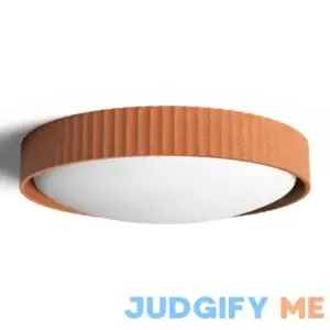 Carran Flush Mount AllModern Fixture Finish