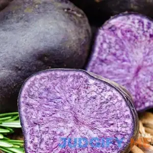 Seed Potato Purple Majesty
