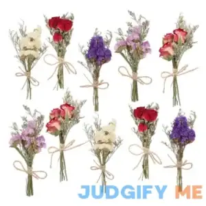 VAIPI 10 Pack Dried Flower Forget Me Not Bouquets Natural Dried Flower with Stem Dried Embossing Flower Bundles Artificial Flower Dried Floral Arrangement
