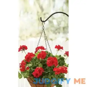 Mainstays Black Metal Hanger Replacement Chain with Hook