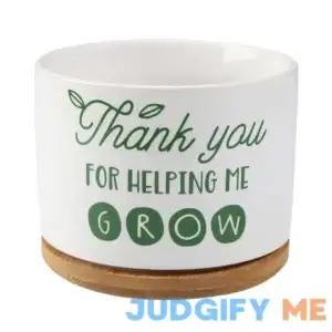 DOMG Teachers Appreciation Gift Ceramic Succulent Plant Pot Small Flower Planter