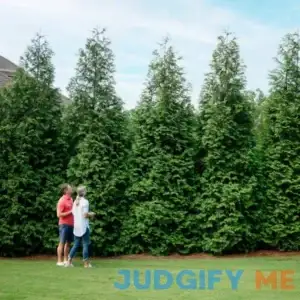 Thuja Green Giant Arborvitae