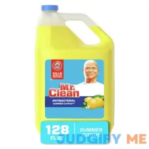 Mr. Clean Antibacterial Multi-Surface Cleaner