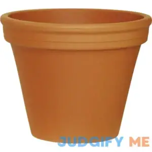 Ashland 10" Terracotta Clay Pot