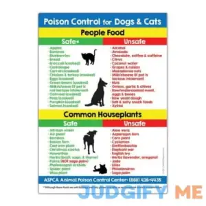 Zoco: Safe & Toxic Foods & Plants for Dogs and Cats Fridge Magnet - 5 x 7 in.