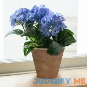 Better Homes & gardens 8" Hand-painted Brown Ceramic Pot