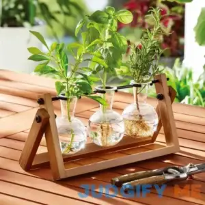 Better Homes & Gardens Glass Propagation Station Planter