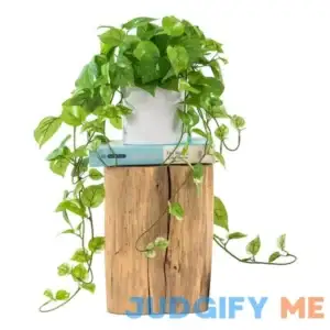 ROVALA Artificial Plants for Home Decor Indoor in Pot