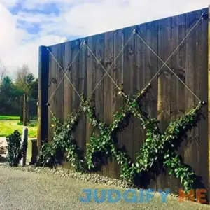 Espalar Surface Mounted Heavy Duty Universal Espalier/Trellis Kit