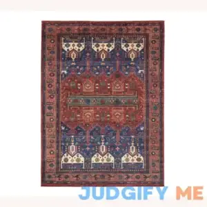 Pottery Barn Nicolette Hand-knotted Wool Rug