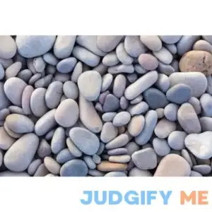 Locally Sourced Egg Natural River Stone Decorative Stone 0.5 cu ft