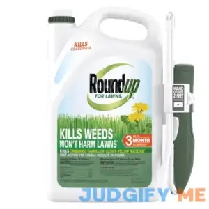 Roundup For Lawns Wand