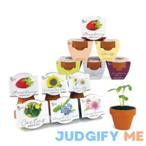 BUZZY Seeds Terracotta Mini Grow Pots Herb Plant Flower Starter Kit for Kids & Adults