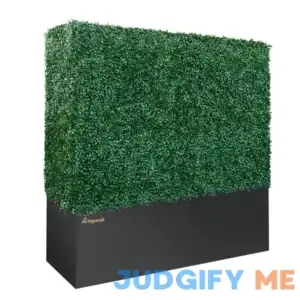 Artigwall Hedge Wall Boxwood Hedge in Planter box Generation 3