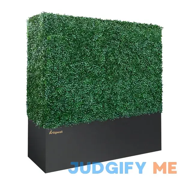 Artigwall Hedge Wall Boxwood Hedge in Planter box Generation 3 Artigwall Hedge Wall Boxwood Hedge in Planter box Generation 3