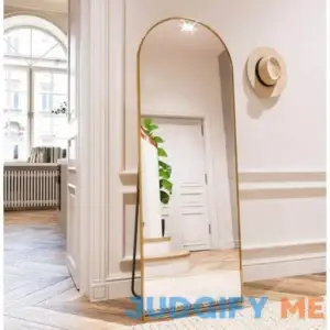 21 in. W x 64 in. H Arched Gold Aluminum Alloy Framed Full Length Mirr
